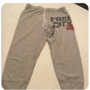 Freecity Gray Kids Sweatpants with Black and Red Logo